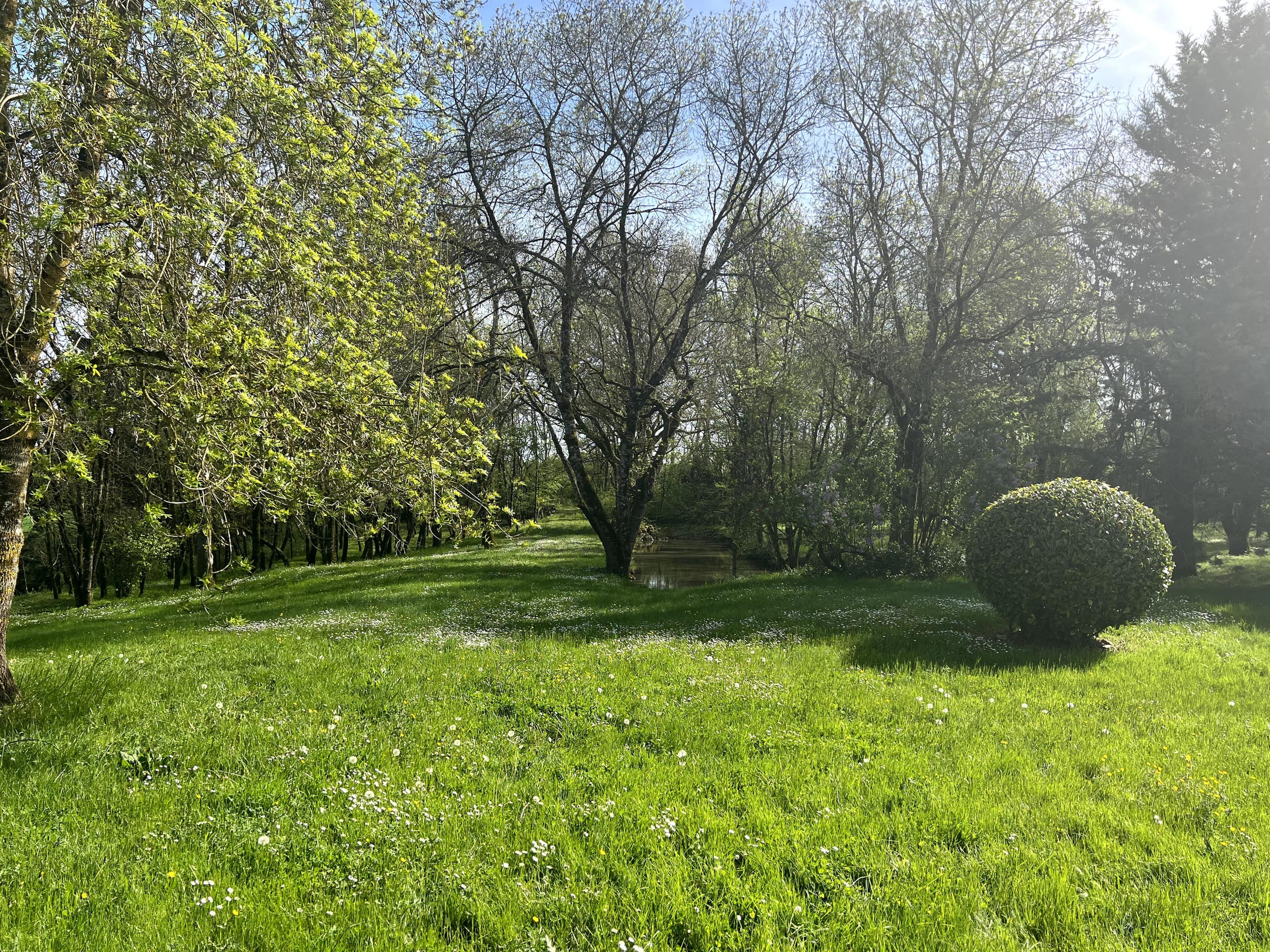 Allée du parc